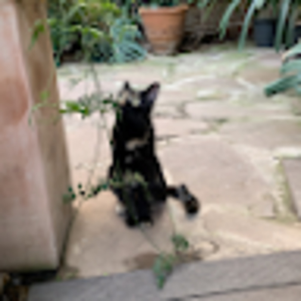 Meet your Posher, Maggie